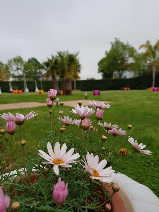 I Giardini Del Novecento Hotell Lamezia Terme Exteriör bild